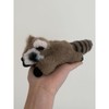 Raymond The Raccoon