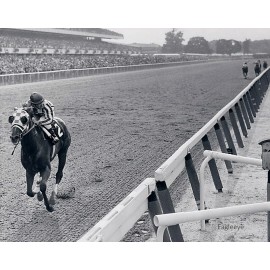 SECRETARIAT PHOTOS ~ Belmont Stakes 8 x 10 HORSE Race ~ Ron Turcotte ~ LOT of 2
