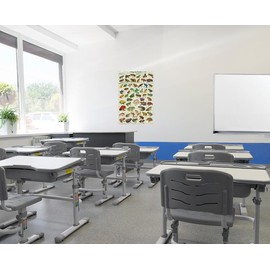 Frogs & Toads of the World Educational Poster 24 x 36in