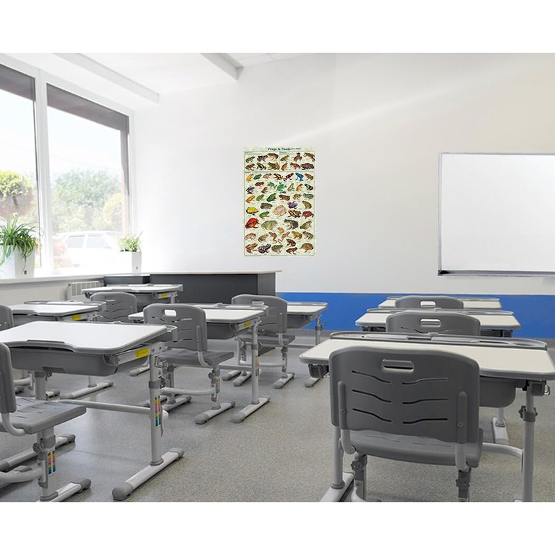 Frogs & Toads of the World Educational Poster 24 x