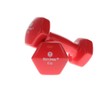 Body Sport Vinyl Dumbbell – Dumbbells for Exercises – Strength