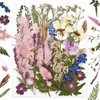 DALARAN 45Pcs Pink Dried Pressed Flowers for Resin Molds Real