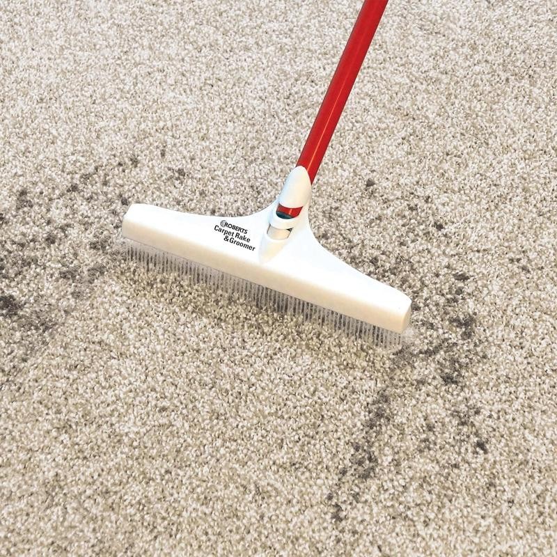 IUY Ventures's Carpet Rake and Groomer with 51" Handle Cleaning