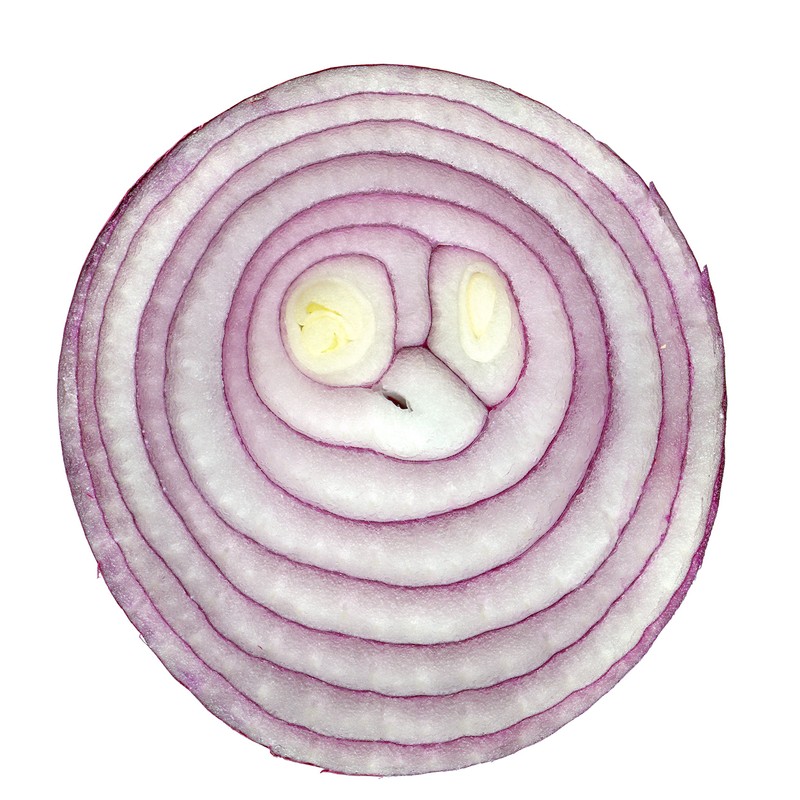 Onion RED Creole Great Heirloom Vegetable by Seed Kingdom Bulk