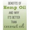 Beohemp Crema De Día Piel Grasa 50ml Spf 15% Beohemp