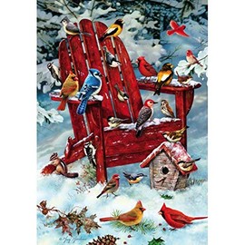 Rejects from Studios Adirondack Birds