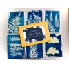 Cyanotype Solar Sun Print Kit Paper