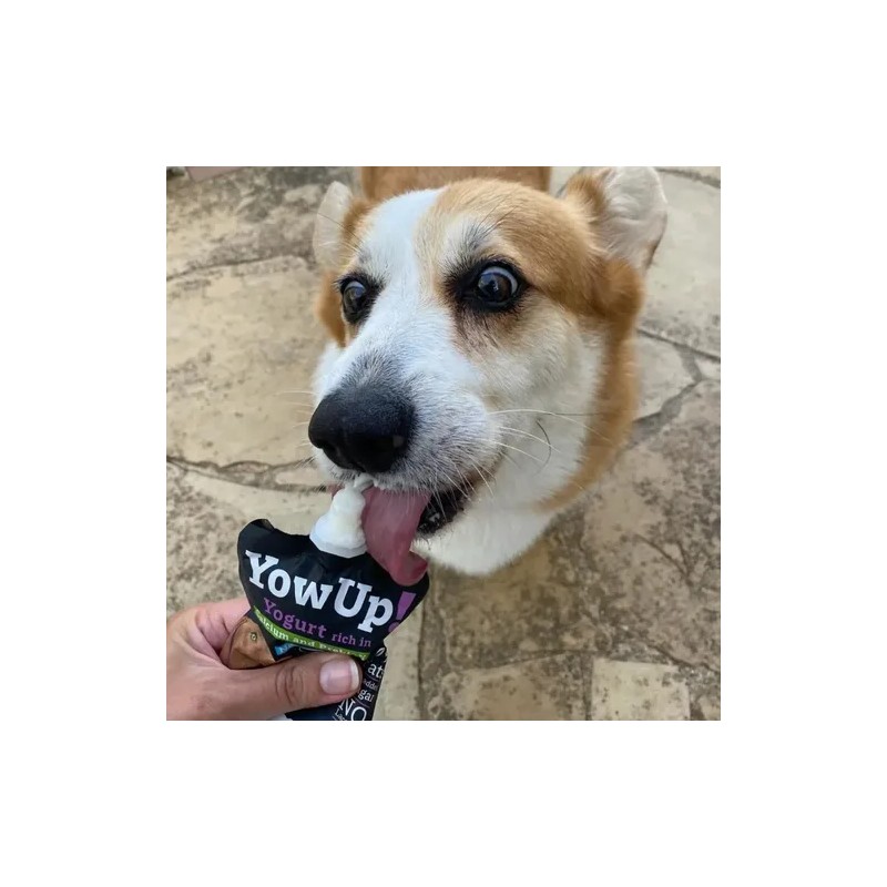 Yow Up! Yogurt Natural Perro 115 Gr Prebioticos