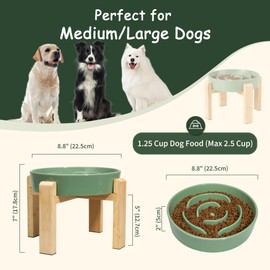 Elevated Slow Feeder Dog Bowl - Raised Ceramic Dog Bowl with Anti-Slip Stand - Puzzle Maze Dog Food Bowl for Fast Eaters - Heavy Big Dog Dish - Designed for Medium and Large Dogs - Green - 8.8 inch