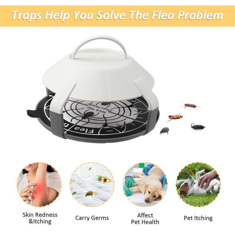 2 Set Flea Traps with 4 Catch Stickers, House Flea