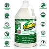 OdoBan Professional Disinfectant and Odor Eliminator Concentrate, Made in the