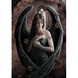 Anne Stokes Greeting Cards - Angel Rose