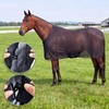 Hsei Horse Fly Sheet Black Mesh Breathable UV Protection Summer