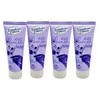 Dresdner Essenz Shower Gel Instead of Flowers 4 x 75