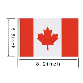 ZXvZYT Canada Canadian Flag Banner String,Small Mini Canada Pennant flags,For Grand Opening,National Sports Events,Party Festival Decorations(50 Feet 38 Flags)