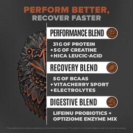 Birdman Falcon Performance Vegan Protein Powder, 31g Protein, 5g Creatine, 5g BCAA, Probiotics, Electrolytes, Pre Workout, Low Carb, Sugar Free & Dairy Free, Plant Based Chocolate Protein, 28 servings