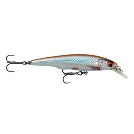 Savage Gear Gravity Twitch SR suspending 6,7cm 6g Wobbler - Twitchbait, Farbe:Roach (Rotauge)