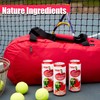 Parrot Brand Watermelon Juice Drink with Pulp 16.4 fl. oz.(Pack