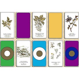 Meditation Set – 77 Cards and Manual – How to Care By Les Fleurs – Divination Card Game