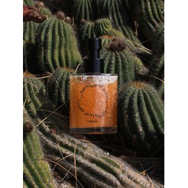 Cactus Hotel Hand Wash / 캑터스 호텔 핸드워시