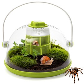 ELFULLY Snail Terrariums Breeding Box, Plastic Round Snail Habitat, Clear Feeding Box with Air Vents & Removable Base, Small Insect Feeding Bin for Beetles Spiders Ladybugs, Starter Terrarium Kit