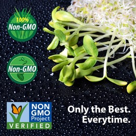 Red Storm Sunflower Microgreens Seeds - 1 lb. Bag - Non-GMO Red Stemmed Micro Green Seeds & Sprout Seeds - Heirloom Edible Microgreens Flower Seeds for Planting - Sun Flower Microgreen Seeds