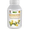 ANDREW LESSMAN Berberine Phospholipid Complex 120 Capsules - Barberry Root