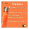 Open Secret Shampo Reconstructor Aceite Argan 300