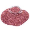 Hologram Glitter Powder Pink Holo Nail Art Nail Design Pack