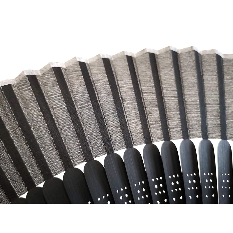 Aotake Kyodo 2019-600 Black Plain Folding Fan with Case, Black