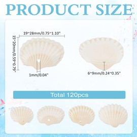 CRAFTYMELODY 120Pcs Natural Clam Shell Pendants Conch Charms Ocean Theme Beads Seashell Pendants with Hole for Jewelry Making DIY Craft Bracelet Earring Necklace Accessory Supplies Decoration