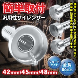 BIG & SO Universal Motorcycle Silencer Muffler, Inner Baffle Bolts, Easy Installation, Set of 2, Iron, Steel, Moped, Sports, Short, 1.7 inches (42 mm) Diameter