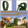 Nylon Livestock Collar Adjustable Cattle Collar with Cow Bell for