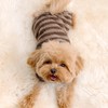 Fitwarm Fuzzy Fleece Striped Dog Pajamas, Dog Winter Clothes for