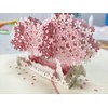 3D Pop-Up Valentine's Day Card with Envelope, Cherry Blossom Birthday