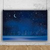 10x8ft Vinyl Winter Snowflake Photography Backdrop Starry Night Sky Moon