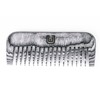 Beard Taming Premium Beard Comb + High-Quality Genuine Leather Case