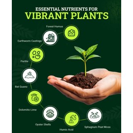 FoxFarm Happy Frog Potting Soil, 12qt – for Indoor/Outdoor Container Plants, Improves Root Efficiency, pH Adjusted for Optimal Nutrient Uptake – Contains Microbes and Humic Acids (Pack of 2)