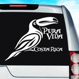 Costa Rica Pura Vida Toucan Bird Rainforest Wildlife Car Decal Sticker | Multiple Sizes/Colors (8" Inch, White)