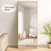self Full Length Floor Mirror 65"×22" Metal Aluminum Alloy Frame