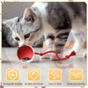 Interactive Cat Ball for Cats, Smart Rolling Ball, Cat Toy