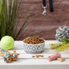 Bone Dry Lattice Collection Pet Bowl & Canister, Single Dish,