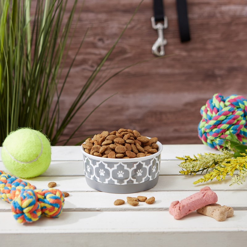 Bone Dry Lattice Collection Pet Bowl & Canister, Single Dish,