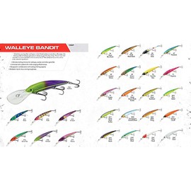 Band-It Walleye Deep Minnow Jerkbait Fishing Lure, Fishing Accessories, Dives ro 27-feet Deep, 4 3/4", 5/8 oz, Transparent Gizzard Shad, (BDTWBD2D08)