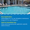 In The Swim Algaecide 60 Plus for Swimming Pools -