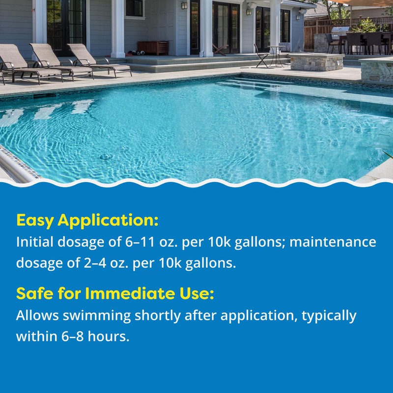 In The Swim Algaecide 60 Plus for Swimming Pools -