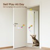 Potaroma Interactive Cat Feather Toys 5 Pcs, Cat Teaser Retractable