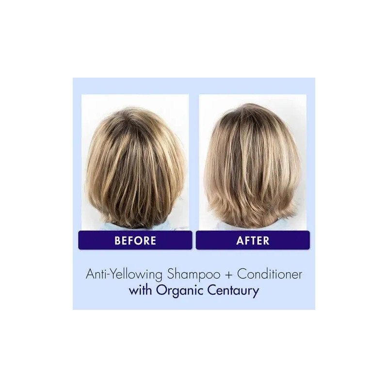Shampoo Klorane Antiamarillamiento Para Canas Centaury 400ml