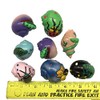 MMvolesy Creature Designs Hermit Crab Shells.Painted Hermit Crab Shells for