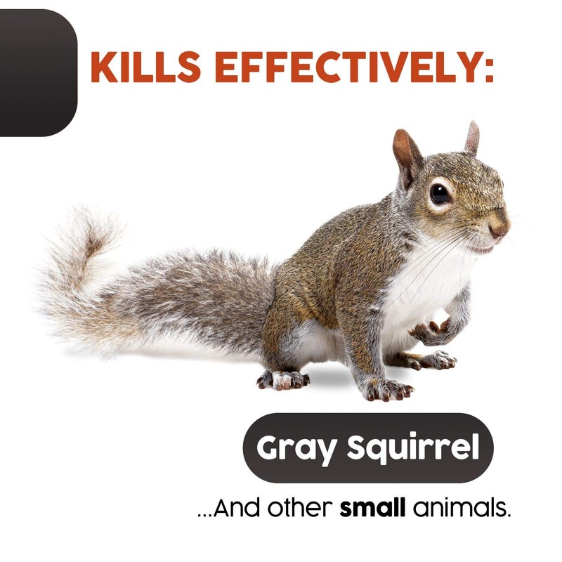 Squirrel Traps Outdoor - Squirrel Trap - Ouell Traps -